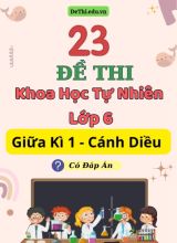 Tổng hợp 23 Đề thi KHTN 6 giữa Kì 1 Cánh Diều (Kèm đáp án)